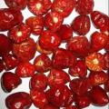 kunri whole/longi whole/ gol pepper/200g. 
