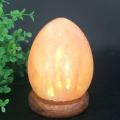 Egg Shape Natural Himalayan USB Salt Lamp. 