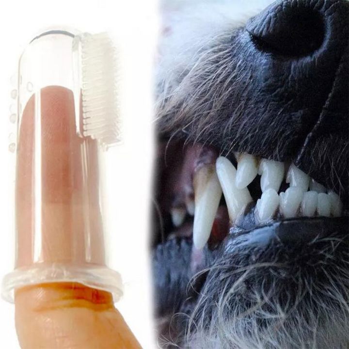 Dog & Cat Super Soft Silicone Finger Toothbrush New Arrival Cat Dog Toothbrush