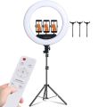 JM Jadoon 36 CM Ring Light With 7 feet Tripod Stand and Mobile Holders 3 Shades Light for tiktok youtube videos. 