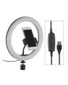 Pack Of 3 3120 Tripod Black 26 CM LED Ring Light And YunTeng Bluetooth Remote Shutter. 