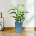 Plant Pot Self Watering Flower Pot with Drainage Holes for Bedroom Kitchen. 