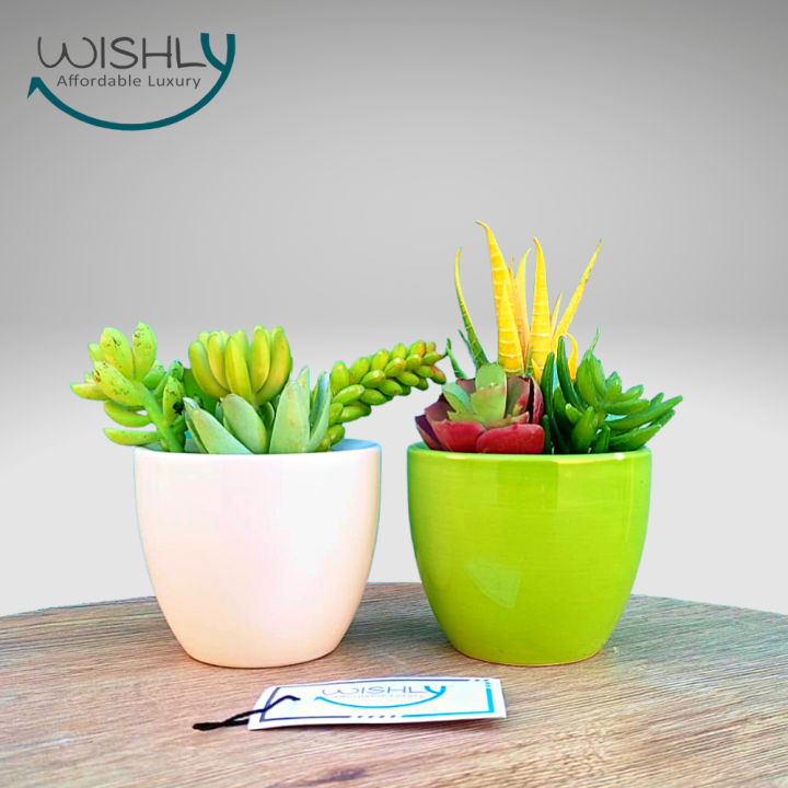 Wishly%20Small%20Succulent%20Artificial%20Plants%20in%20Pots%20Set%20of%202%20Pcs,%20Assorted%20Mini%20Faux%20Aesthetic%20Cactus%20potted%20Succulents%20arrangements%20for%20Home,%20Office,%20Bedroom,%20Washroom%20&%20Living%20Room,%20Outdoor%20&%20Indoor%20Decor.%20-%20Image%203