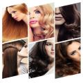 Universal Hair Diffuser Profession Blow Dryer Head Diffuser Curly Wavy Hair Yao Store. 