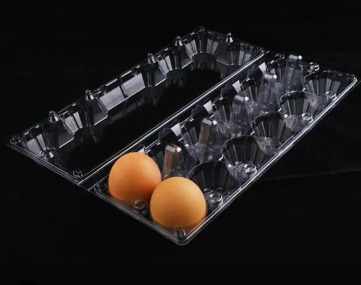 12%20Pack%20Egg%20Crates,%20Clear%20Plastic%20Eco-Friendly%2012-Cell%20Egg%20Carton%20Bulk,%20Holds%20Up%20to%2012%20Eggs%20Safely,%20Perfect%20for%20Family%20Pasture%20Farm%20Market%20Display%20-%20Image%205