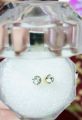 Diamond Single stone Earings Studs Tops Gold Platted for Women & Men. 