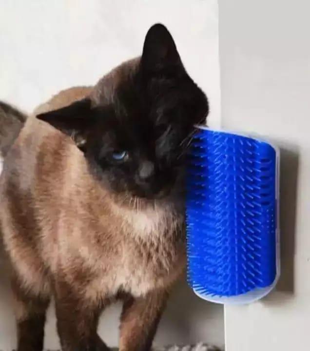 Cats Self Massage Scratch Post With Catnip