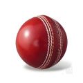 Practice Ball Indoor Tape Ball Bat Synthetic Red and White Play with Cricket Bat. 