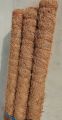 Plant Sticks (3ft) - Pack of 3 - Plant Support - Rod - Pole - Indoor Plant Support - Coir - Money plant support - Straightener. 