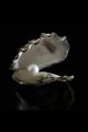 White Pearl Moti Stone orignal. 