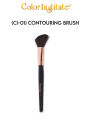 Color Institute Contouring Brush CI01 For Face Contouring Makeup Brush For Face Perfect  Daily Beauty Tools Beauty Express. 
