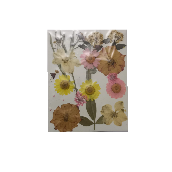 Dried%20Pressed%20Flowers%20for%20Resin%20Dry%20Leaves%20Bulk%20for%20Scrapbooking%20DIY%20Art%20Crafts%20-%20Image%202