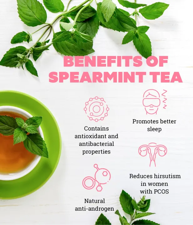 Spearmint%20tea%2050%20gm%20-%20Image%202