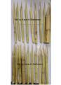 Set of 19pcs x 6inch length Bamboo Reed Calligraphy Wooden Pens. 