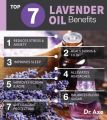 "Lavender Elegance: 100% Pure Therapeutic Grade Essential Oil, Steam Distilled for Unmatched Purity - Vegan and Aromatherapy-Approved for Your Ceramic Diffuser - Pure, Concentrated Bliss in Every Drop (10ml). 