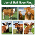 Stainless Steel 3.5 inches Bull Nose Ring for Cattle – Livestock Control Tool. 