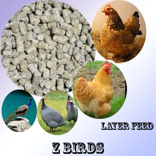 Poultry%20Feed%20For%20Layer%20And%20Breeder%20Hens%20And%20Ground%20Birds%20(1%20kg)%20-%20Image%202