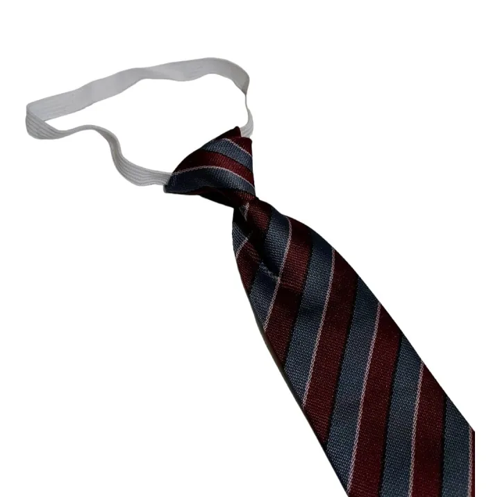 The%20City%20School%20Primary%20Boys%20Uniform%20Elastic%20Tie%20Gray%20&%20Maroon%20Lining%20Uniform%20Tie%20-%20Image%206