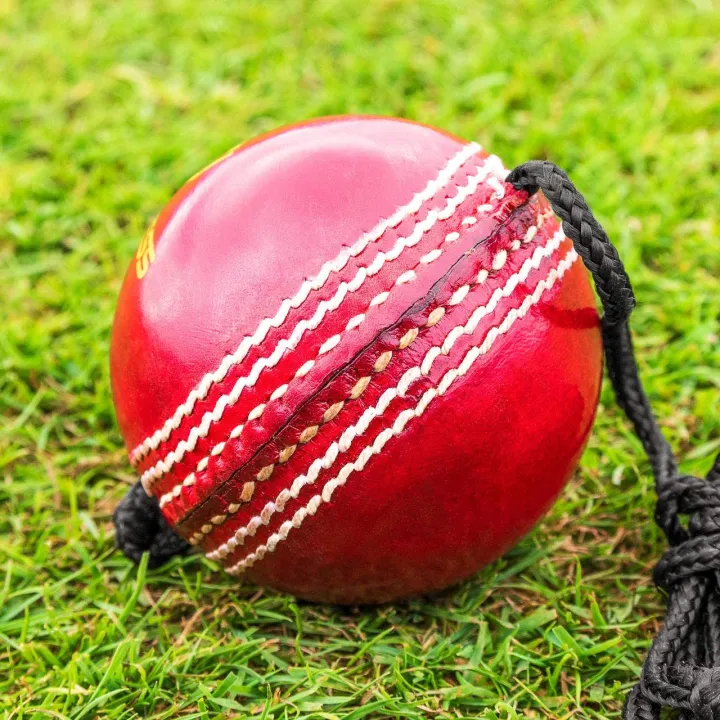 Cricket%20Hanging%20Hard%20Ball%20for%20Bat%20Stroke%20Training%20Balls%20for%20Cricket%20%7C%20Balls%20for%20Kids%20Personal%20and%20Professional%20Practicing%20Use%20%7C%20Pack%20of%201%20Hanging%20Cricket%20Ball%20%7C%20String%20Cricket%20Balls%20%7C%20Hand%20Eye%20Coordination%20Batting%20Drills%20-%20Image%204