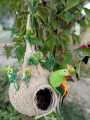 Handmade Artificial Bird nest, with Bird Egg Decorative Nest, excellent Decor BIRD Houses for inside cage and Outside Hanging Nesting Clearance Hand Woven Natural Humming Bird Nest Hut for Window Home Garden Outdoor Decoration. 