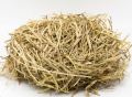 PACK of 3 | Road Grass Nest For Finches  And Small Birds | nesting material | nesting grass for finch java and small birds. 