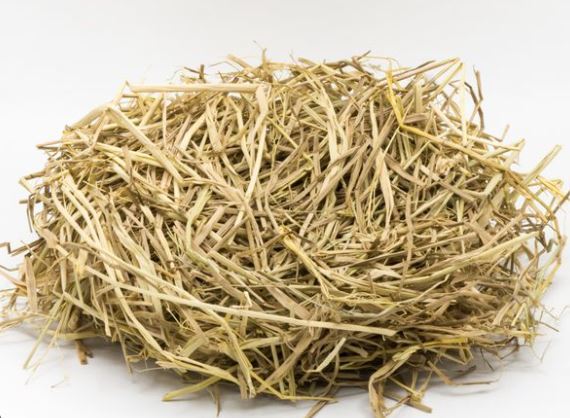 PACK%20of%203%20%7C%20Road%20Grass%20Nest%20For%20Finches%20%20And%20Small%20Birds%20%7C%20nesting%20material%20%7C%20nesting%20grass%20for%20finch%20java%20and%20small%20birds%20-%20Image%202