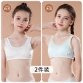 Girls underwear development period primary school girl 13-year-old girl big child 12-year-old child vest cotton thin section 10. 