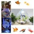 Fishes Tank Aquatic Aquarium Home Decorative Fish Bowls Table(Large Size). 
