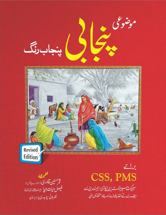 Punjabi Punjab Rang
