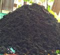 1kg press mud of sugar cane frsh and pure organic fertilizer. 