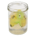 Hatch Your Own Dinosaur Egg With Growing Pet TOY. 