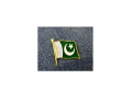Pakistan Flag Badges Pack Of 10 Pcs, Flag Badges For 14th August Independence Day Of Pakistan Parcha Badge, Flag Batch. 