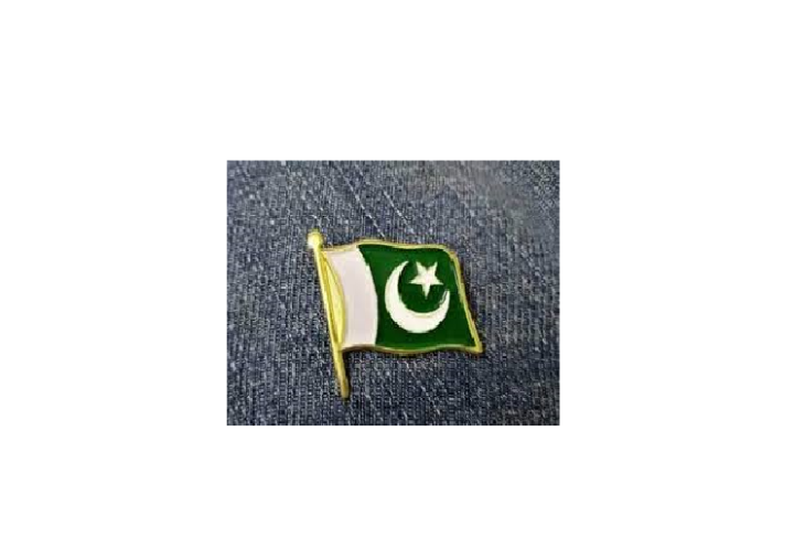 Pakistan Flag Badges Pack Of 10 Pcs, Flag Badges For 14th August Independence Day Of Pakistan Parcha Badge, Flag Batch