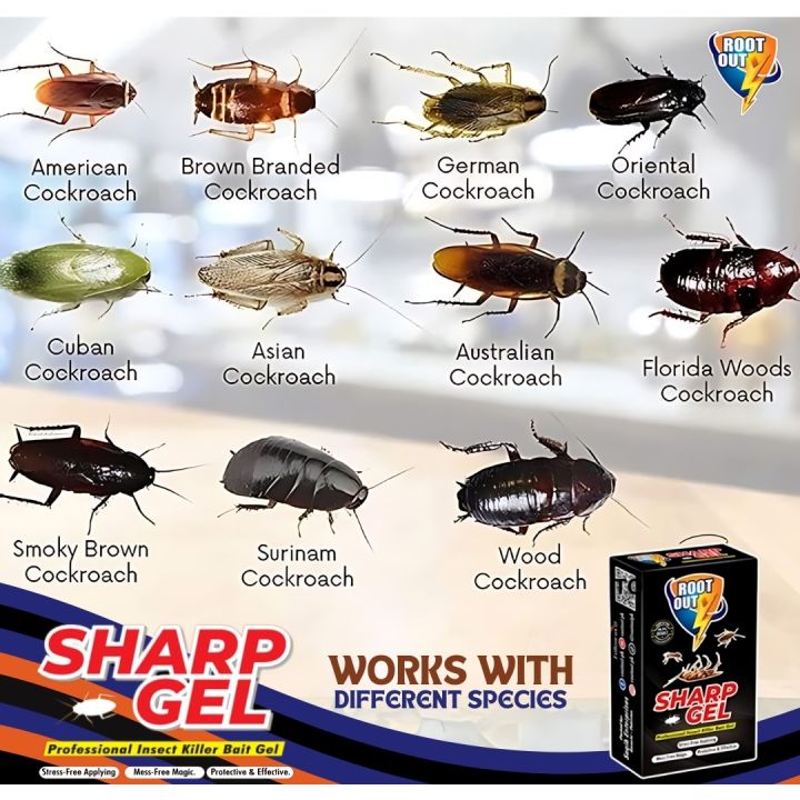Sharp%20cockroach%20Gel,%20Smart%20Cockroach%20Gel%20Bait,30-Grams,%20pack%20of%203,%20German%20Roach%20Insect%20Pest%20Control,%20Lizard%20Killer,%20Indoor%20and%20Outdoor%20Use,%20Roach%20Killer%20Gel%20for%20American,%20German%20and%20Other%20Major%20Cockroach%20Species%20-%20Image%205