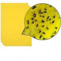 Yellow Signs, Yellow Stickers, Sticky Insect Traps, Fly Trap, Yellow Trap, Professional Yellow Sticker Yellow Sticky Paper for Whiteflies and Aphids, Leaf Mountainman. 