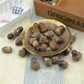 Cheap 20pcs 3cm Acorns Mini Artificial Foam Fruits and Vegetables Berries Flowers For Wedding Decoration. 