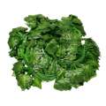 24 Packs Of Artificial Ivy Leaf Plant Vine Hang Wreath Bougainvillea Home Garden Office Wall Decoration Green. 