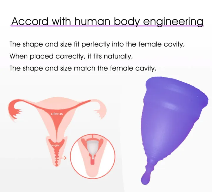 Menstrual%20Cup%20Purple%20Color%20Large%20&%20Small%20Deepsea%20Life%20Sciences%20-%20Image%205