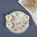 Daisy Silicone Molds Flower Silicone Cake Mold Wedding Cake Tool Cake Decor. 