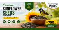 Sunflower Seeds Unshelled for Birds Lowest Price 1Kg Pakistan. 