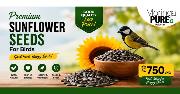Sunflower%20Seeds%20Unshelled%20for%20Birds%20Lowest%20Price%201Kg%20Pakistan%20-%20Image%204