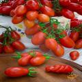 Roma Tomato Vegetable Seeds 25 Kg Production Per Plant. 