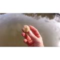 70 Gram  Fishing Formula Charai Powder. 