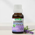 Herbology Lavender Essential Oil , 100% Pure Therapeutic Grade, Steam Distilled, 100% Pure, Vegan, Aromatherapy, Diffuser, Ceramic Diffuser, Pure, Concentrated, EO, Aroma Diffuser. 