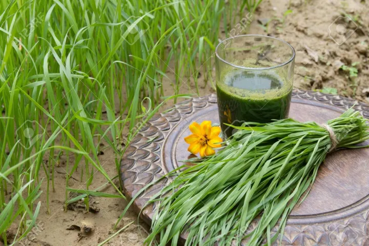 Neotea%20Wheat%20Grass%20Powder,%20200%20G%20-%20Image%206