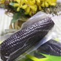 Sweet Corn Vacuum Packed- Imported Chinese Corn on the Cob. 