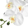 4Pcs 38Inch Artificial Real Contact Orchids Flowers 9Heads Latex Phalaenopsis Stems for DIY Wedding Centerpieces. 