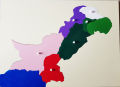 Montessori Puzzle Map of Pakistan (Premium Quality). 