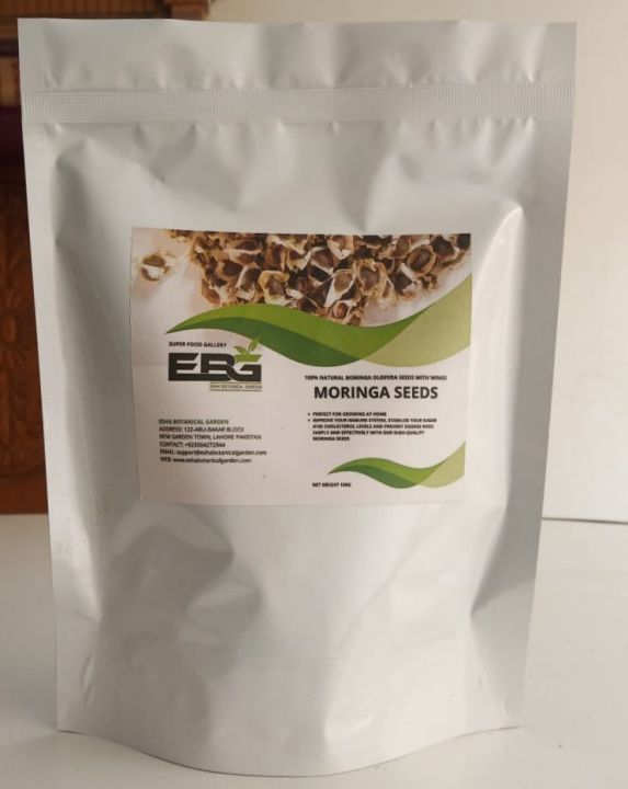 Moringa Oleifera (Suhanjna) Seeds Pack (100g)