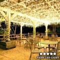 ClassyFairy LED Light String - 20 Feet - Golden. 